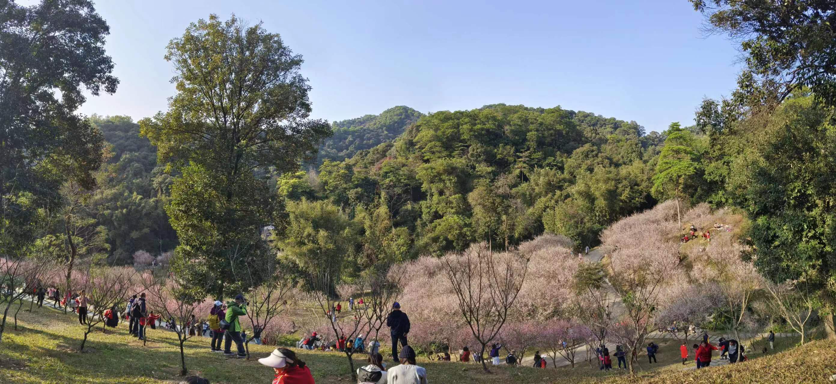 广州白云山花园